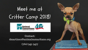 Boogie Shoes is going to Critter Camp!