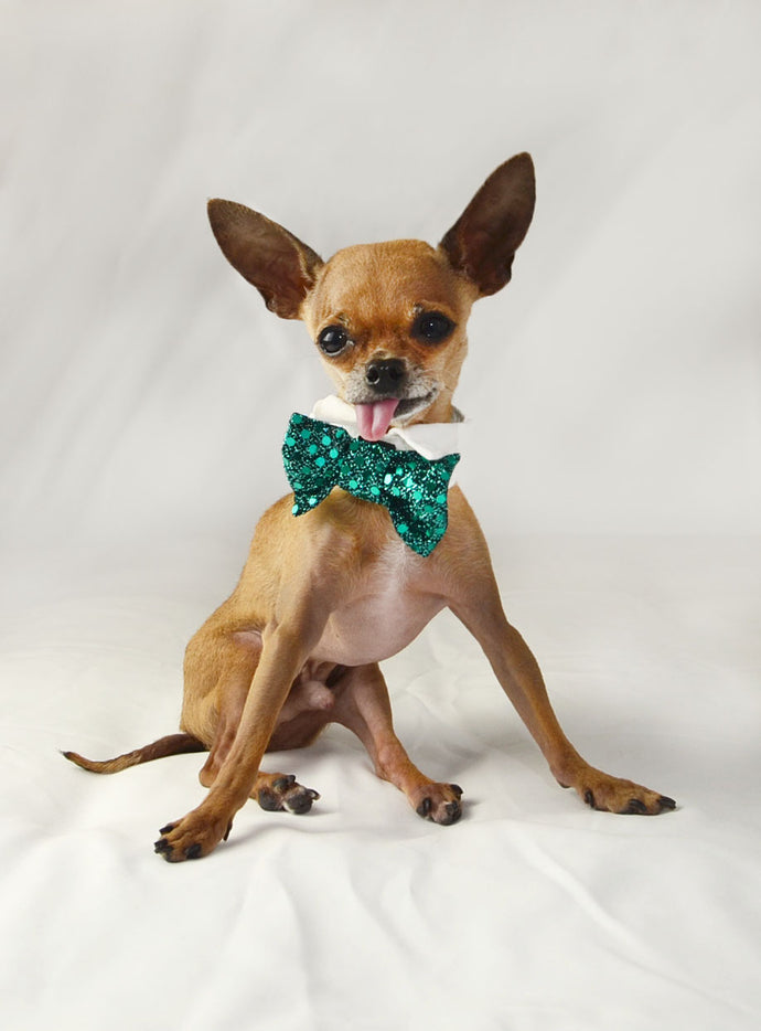 Bow Ties To Boogie In by Spoiled Dog Designs