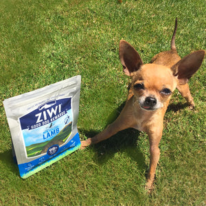 Ziwis Good Dog Rewards: Product Review for Chewy.com