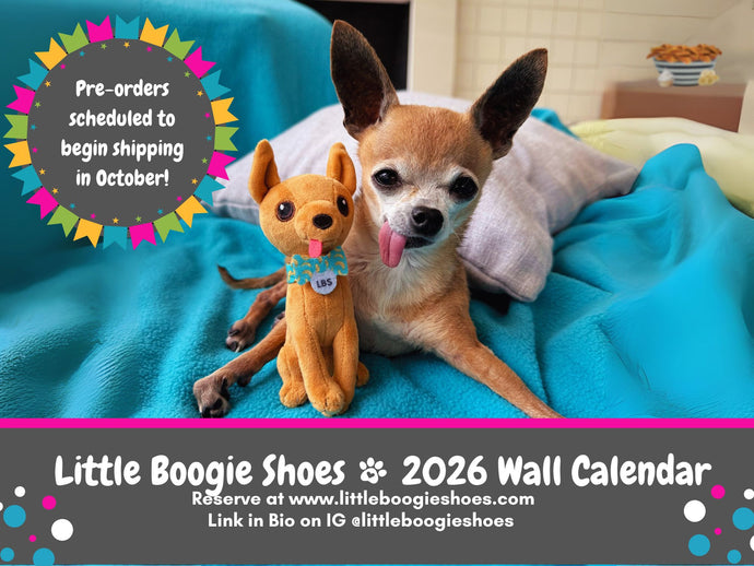 2026 WALL Calendar (8.5X11 inch)
